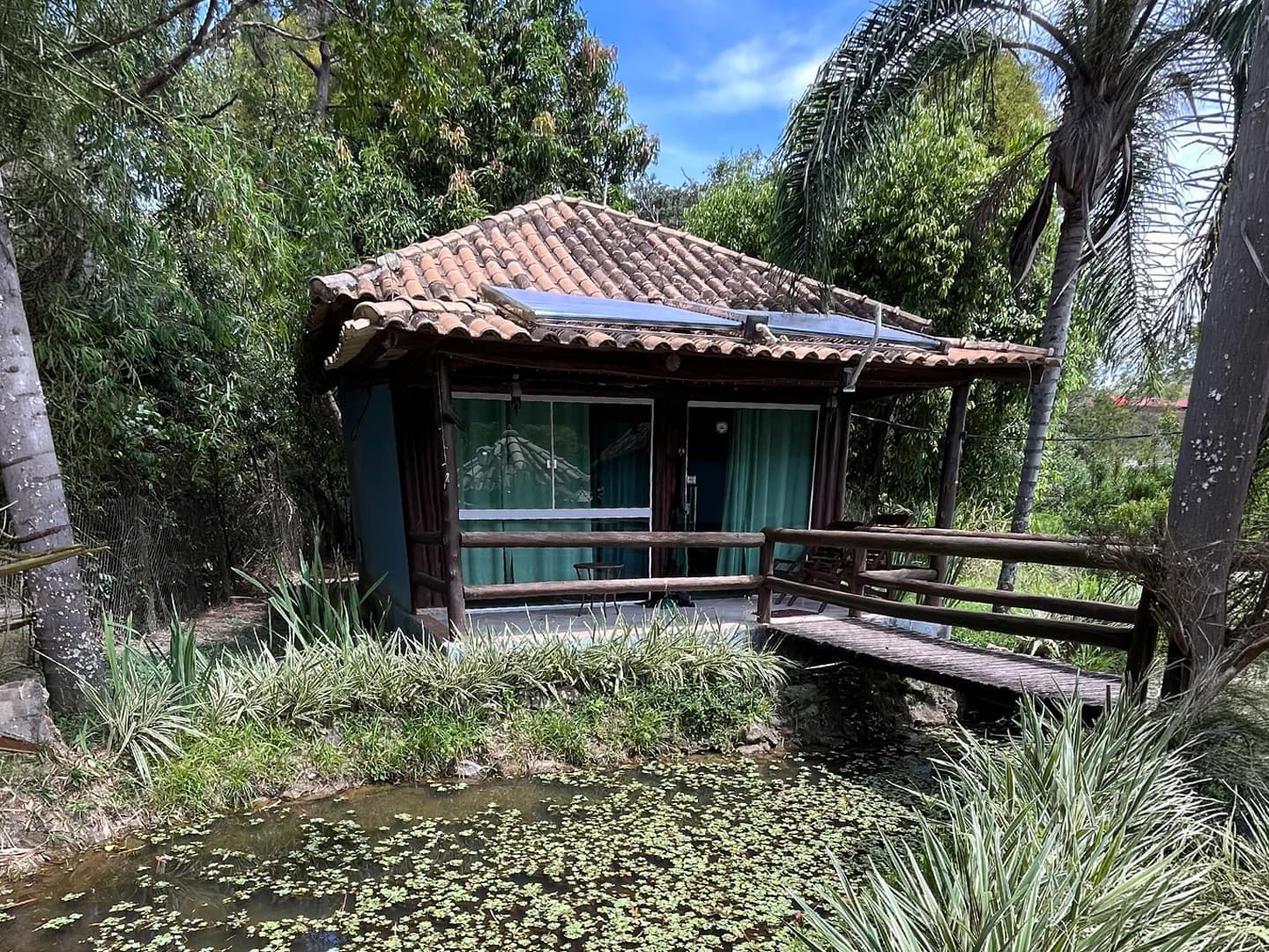 Piscina cercada de mata